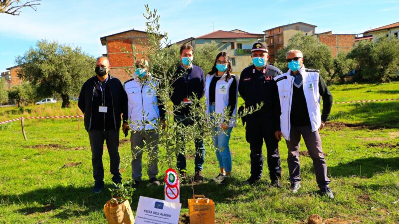 Festa dell’albero: Il liceo aderisce alla 26esima edizione