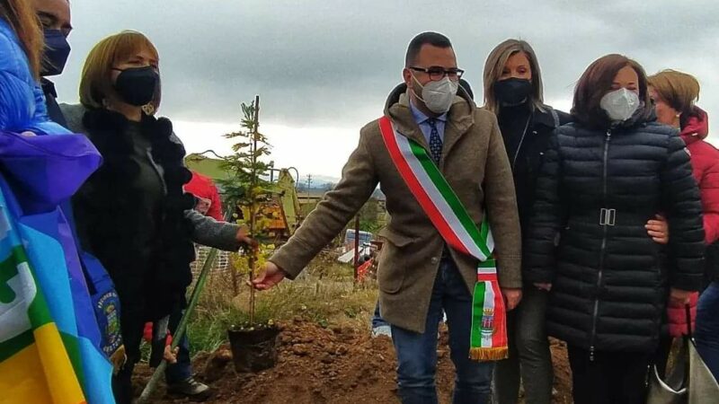 Piantiamo la mimosa al Polo scolastico di Foresta