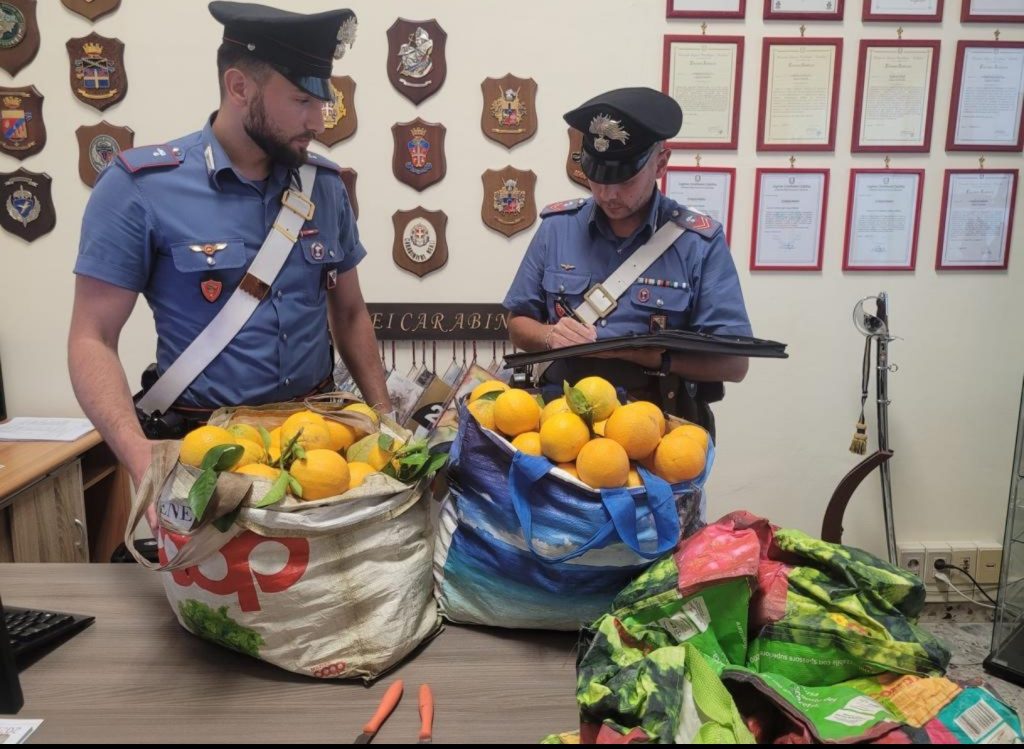 Furto di agrumi a Santa Severina: 2 arresti