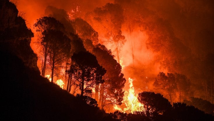 La Calabria torna a bruciare per mano di ecocriminali al servizio delle ecomafie: Le proposte di Legambiente