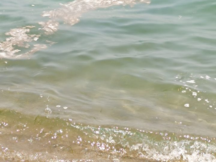 Stessa spiaggia, stesso mare… stessa schiuma