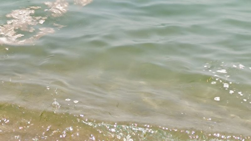 Stessa spiaggia, stesso mare… stessa schiuma
  