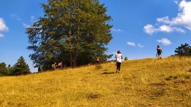 Legambiente Valle Tacina: Alla Scoperta della Bellezza e della Storia nel Parco Nazionale della Sila