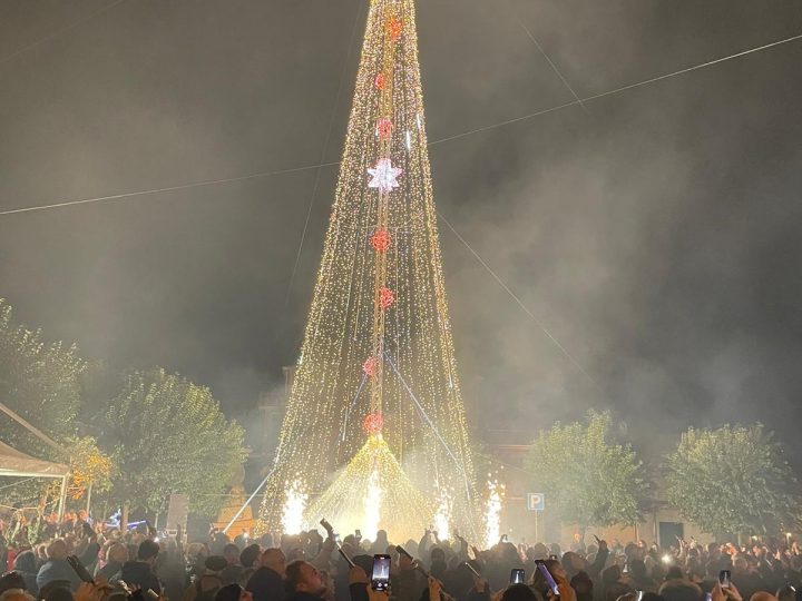 A Roccabernarda l’albero più alto di Italia