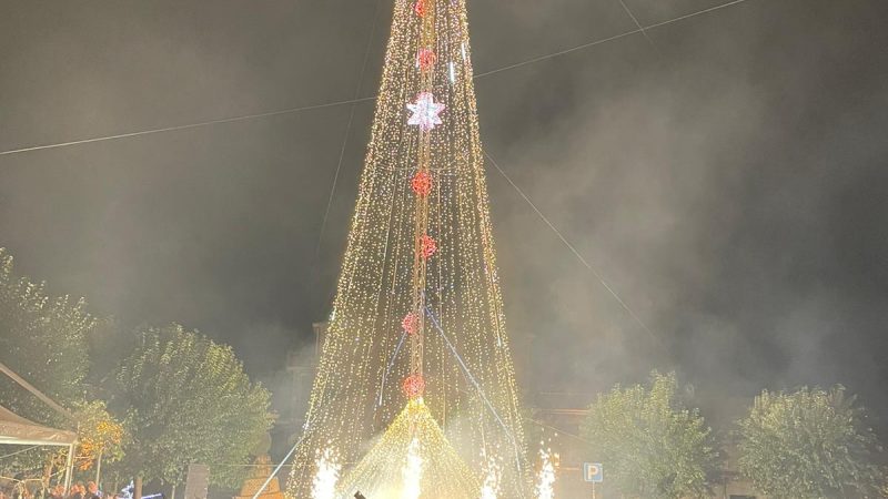 A Roccabernarda l’albero più alto di Italia
  