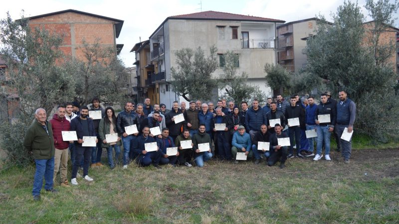 ARSAC e Liceo Scientifico R L Satriani promuovono il 2° Corso di Potatura dell’Olivo in Calabria