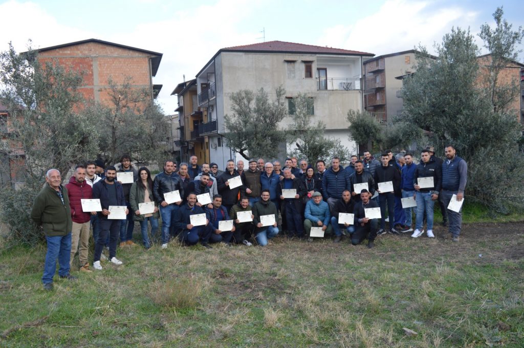 ARSAC e Liceo Scientifico R L Satriani promuovono il 2° Corso di Potatura dell’Olivo in Calabria
  