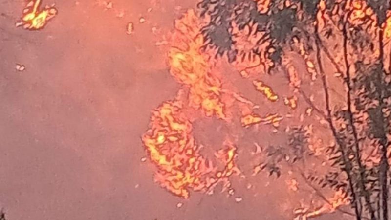 Incendio a San Mauro Marchesato, interviene Calabria Verde