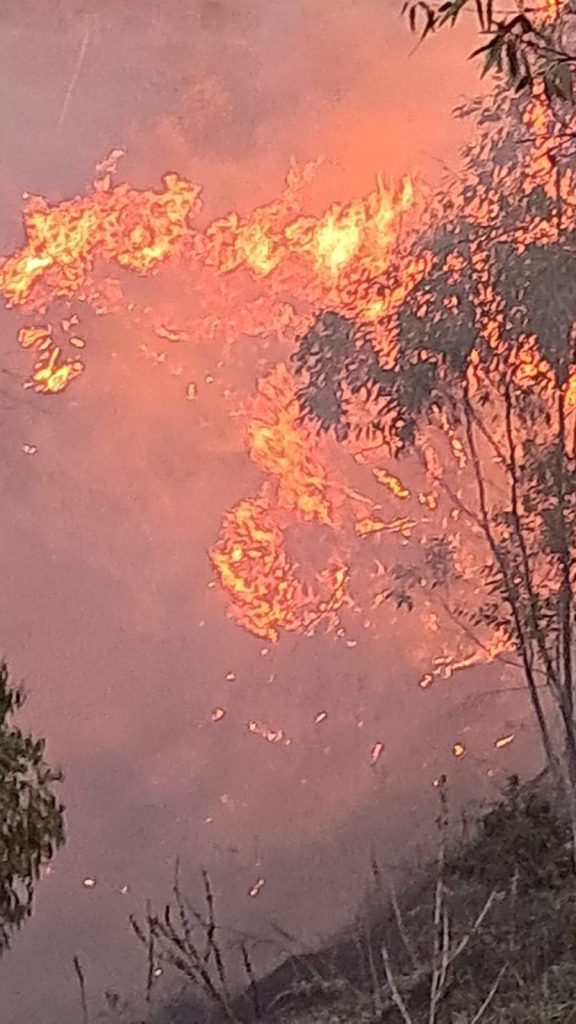 Incendio a San Mauro Marchesato, interviene Calabria Verde