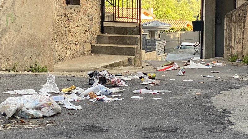 Rifiuti sparsi per strada e randagismo: Molti cittadini si lamentano