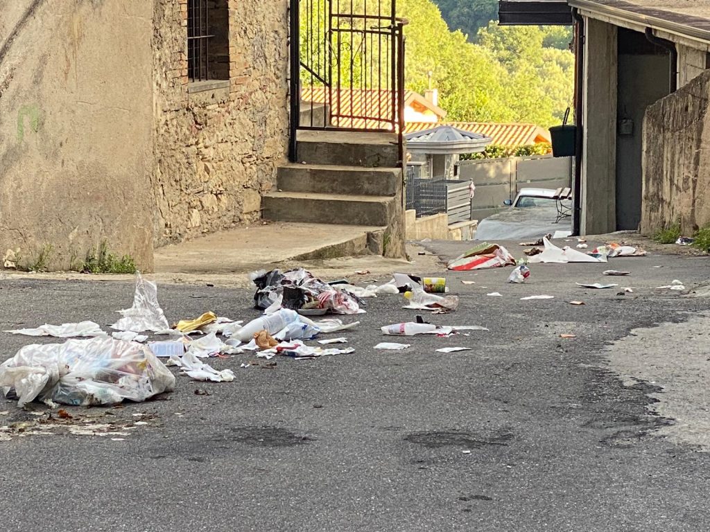 Rifiuti sparsi per strada e randagismo: Molti cittadini si lamentano