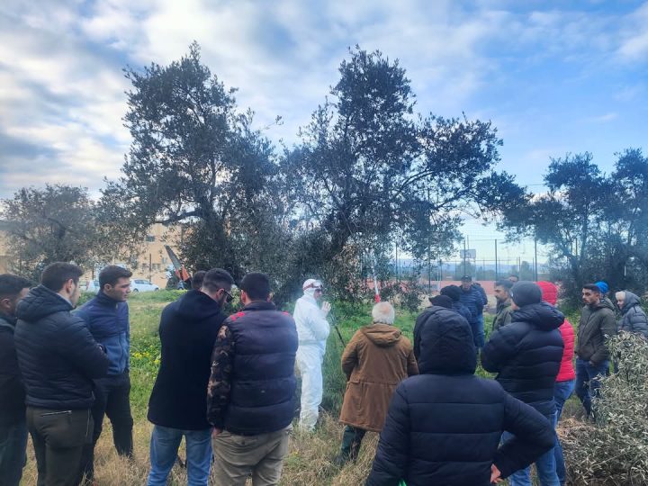 Formazione d’eccellenza nel settore olivicolo al Liceo Scientifico di Petilia
