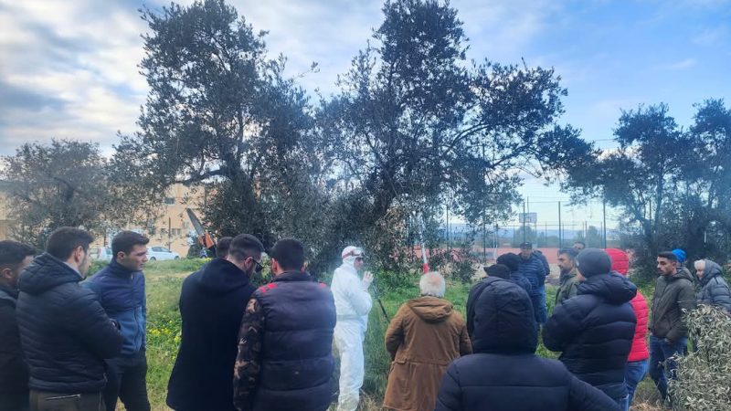 Formazione d’eccellenza nel settore olivicolo al Liceo Scientifico di Petilia
  