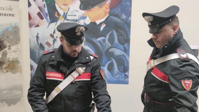 Sequestrato ingente quantitativo di sostanze stupefacenti
  