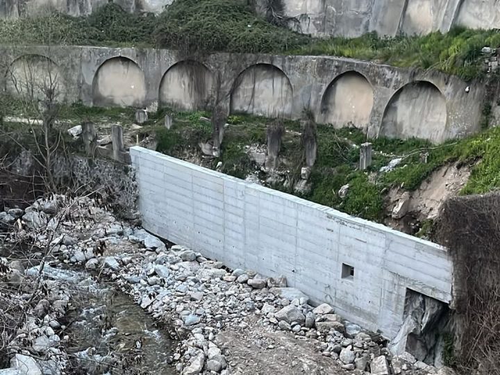 Legambiente sul Vergari: È uno scrigno di biodiversità