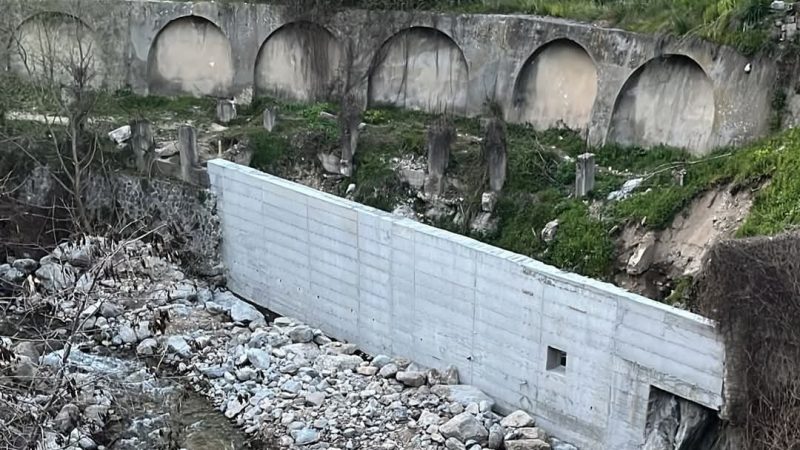 Legambiente sul Vergari: È uno scrigno di biodiversità
  