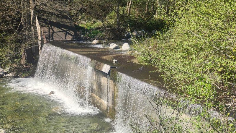 Giornata mondiale dell’acqua: Legambiente Valle Tacina chiede una gestione sostenibile e condivisa dei bacini idrografici
  