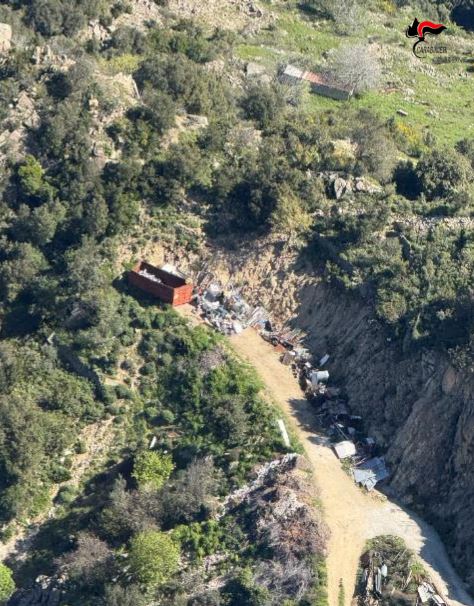 Deciso intervento repressivo dei Carabinieri della Compagnia di Petilia Policastro in materia ambientale