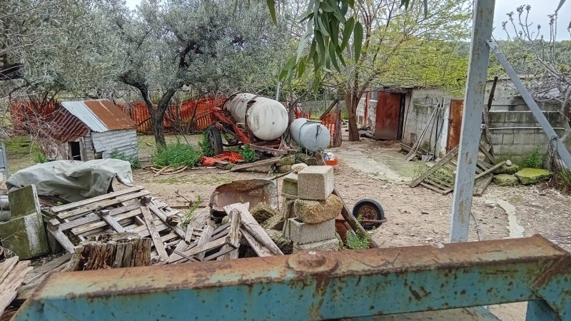 Abusivismo edilizio e maltrattamento animali: Denunce da parte dei Carabinieri
  