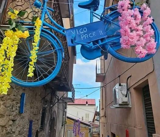 Petilia continua a colorarsi: Vico Pace abbellito con luci e decori
  