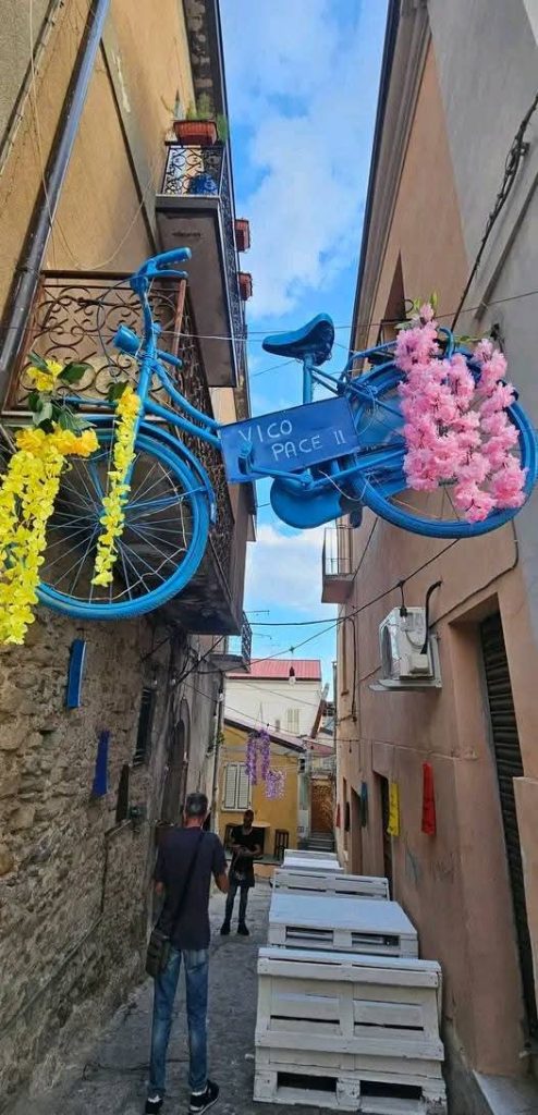 Petilia continua a colorarsi: Vico Pace abbellito con luci e decori
  