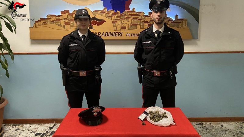 Petilia: Arrestato giovane per detenzione di sostanze stupefacenti