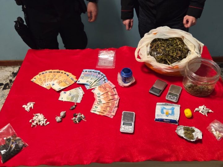 OPERAZIONE ANTIDROGA DELLA COMPAGNIA CARABINIERI DI PETILIA POLICASTRO: UN ARRESTO, UN DENUNCIATO E INGENTI SEQUESTRI DI STUPEFACENTE