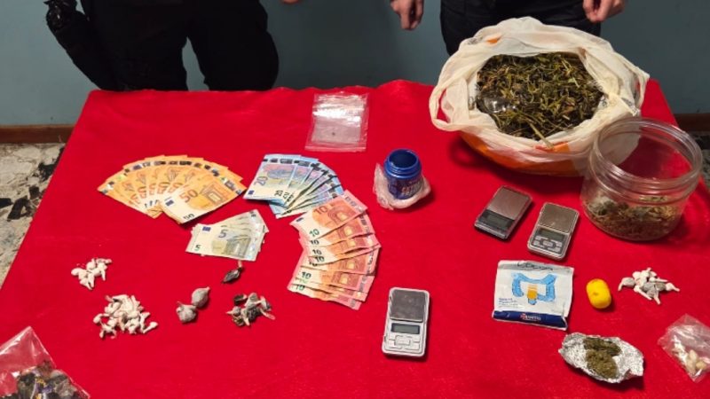 OPERAZIONE ANTIDROGA DELLA COMPAGNIA CARABINIERI DI PETILIA POLICASTRO: UN ARRESTO, UN DENUNCIATO E INGENTI SEQUESTRI DI STUPEFACENTE
  