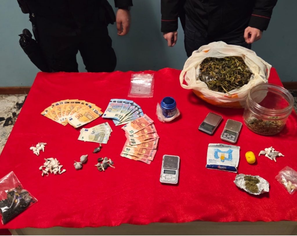 OPERAZIONE ANTIDROGA DELLA COMPAGNIA CARABINIERI DI PETILIA POLICASTRO: UN ARRESTO, UN DENUNCIATO E INGENTI SEQUESTRI DI STUPEFACENTE
  