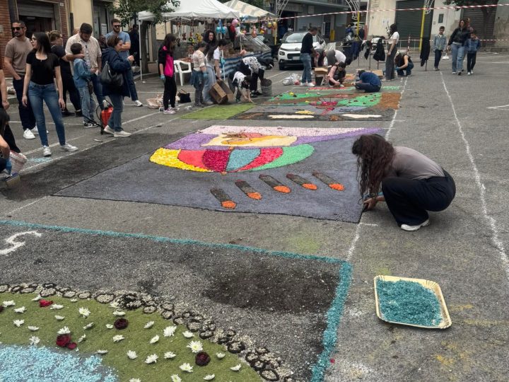 Petilia Policastro, la festa di San Francesco di Paola si chiude con l’infiorata dedicata ai bambini delle guerre