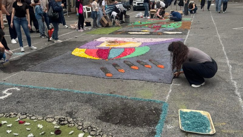 Petilia Policastro, la festa di San Francesco di Paola si chiude con l’infiorata dedicata ai bambini delle guerre
  